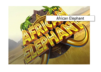 The online slot machine game African Elephant is one of the most popular slots at the moment.